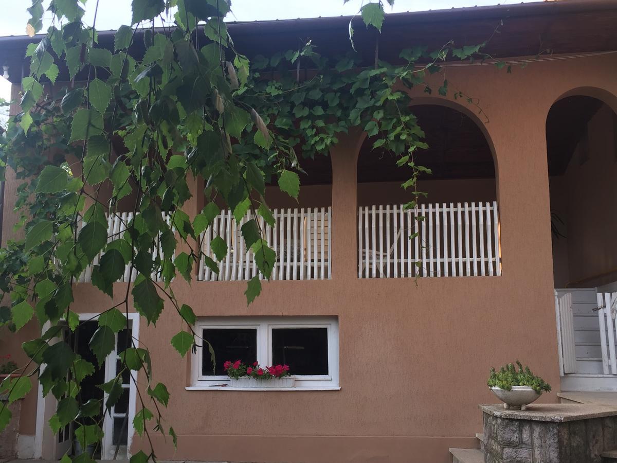 Ferienwohnung Private House Berehowe Exterior foto